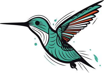 Hummingbird vector illustration. Isolated on white background. Vector illustration.