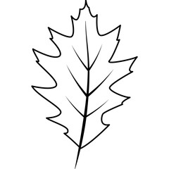 Thanksgiving, autumn icons