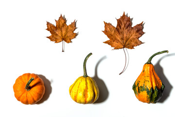 Three different pumpkins on a white background