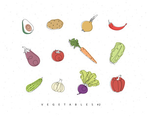 Vegetables icons avocado, potato, onion, chili, eggplant, tomato, carrot, lettuce, cucumber, garlic, beet, pepper drawing with color in linear style on white background