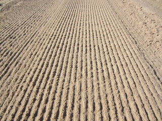furrowed and cleaned sand on beach