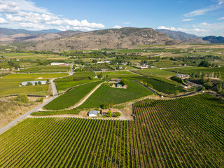 Okanagan Valley Winery Vineyard British Columbia