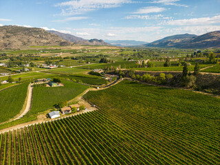 Okanagan Valley Winery Vineyard British Columbia