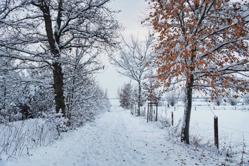 Schnee im Winter | Norddeutschland