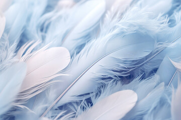 Fototapeta na wymiar Background with blue feathers