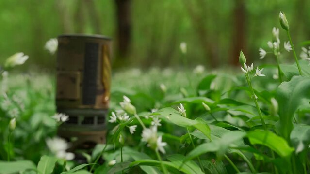 Abstract shallow focus view of someone making tea in a forest full of wild garlic