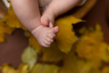 small children's feet against the background of autumn leaves. foot on yellow leaves