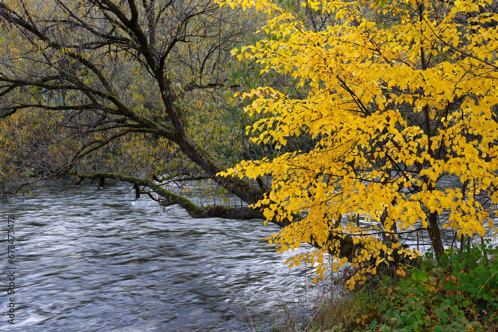 Poster scenic autumn landscape of vadu crisului on a sunny day, romania, europe