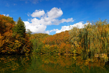 Fototapeta premium Beautiful autumn landscape by the Vida lake in Apuseni Mountains, Romania. Trees in colorful foliage and forested in the Occidental Carpathians reflecting in the water surface.