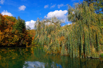 Beautiful autumn landscape by the Vida lake in Apuseni Mountains, Romania. Trees in colorful foliage and forested in the Occidental Carpathians reflecting in the water surface.