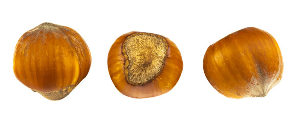 hazelnuts on white isolated background