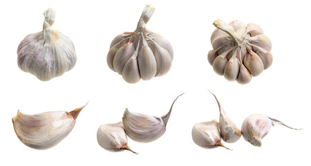 garlic on white isolated background