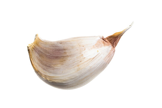 garlic on white isolated background