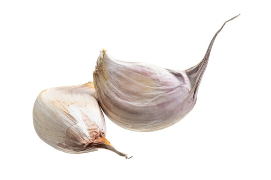 garlic on white isolated background