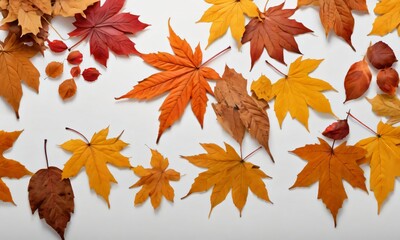Isolated Background Of Autumn Leaves.