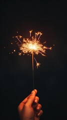 Burning sparkler on dark background