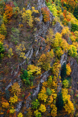 Fototapeta premium Autumn colours on Vadu Crisului, Romania, Europe. Beginning of autumn colours concept.