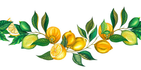 Watercolor lemon branch seamless border with leaves, green and yellow lemons. Hand painted fresh yellow fruits isolated on white background. Cut lemon and slice illustration for design, print, fabric