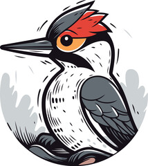 Black backed Woodpecker   woodpecker. vector illustration