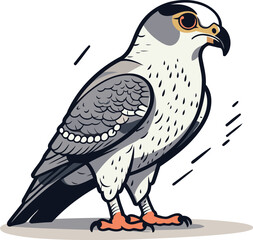 Fototapeta premium Peregrine falcon. Vector illustration of a bird.