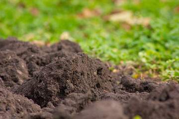 Closeup of field soil and plant roots with green bokeh background. Farming concept