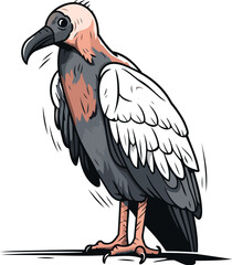 Vector illustration of a vulture on a white background. Side view.