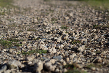 Rocky Path