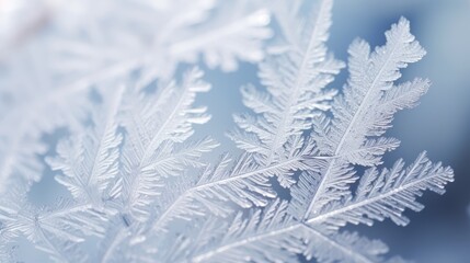 Snowflakes Close-up frost patterns beautiful background. Hello Winter, Merry Christmas, Happy New Year concept. Hoarfrost Ice crystals wallpaper. Frosty transparent snowflake texture..