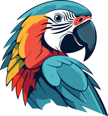 Colorful macaw parrot isolated on white background. Vector illustration.