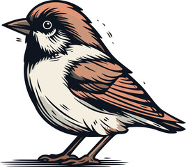 Sparrow isolated on white background. Hand drawn vector illustration.