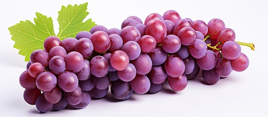 Grape alone on a plain white surface