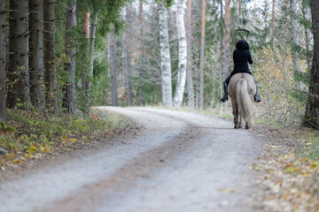 Obraz na płótnie Canvas Reaper riding on gravel road in Autumn scenery. Ghost rider. Icelandic horse. Halloween.