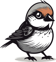 Sparrow. Vector illustration of a bird on a white background.