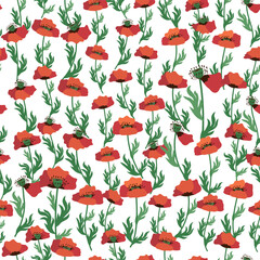 Summer seamless pattern with bright red poppy flowers and poppy pods. Field, meadow of poppies