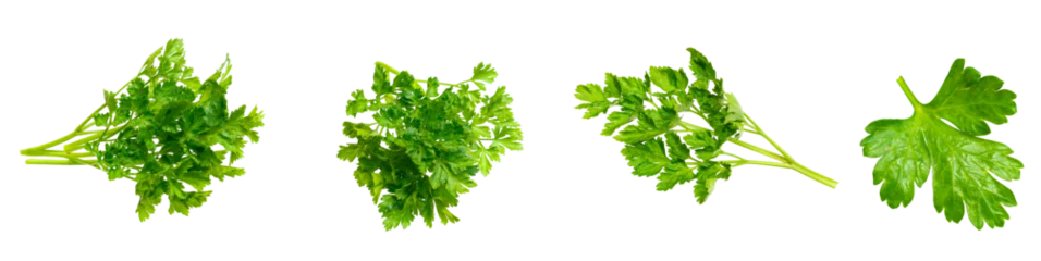 Türaufkleber parsley on white isolated background © Krzysztof Bubel