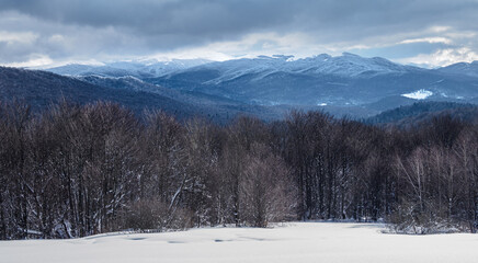 Snow-covered trees on mountain slopes.