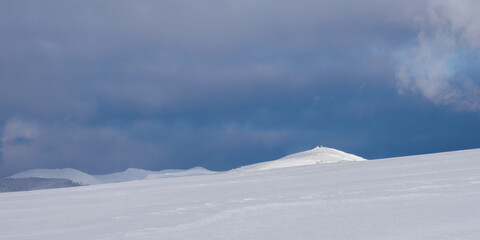 Snow-covered trees on mountain slopes.