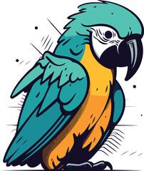 Parrot vector illustration. Isolated parrot on white background.