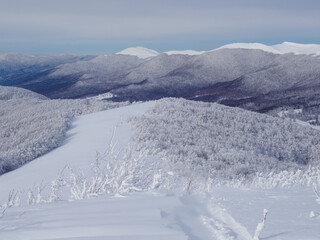 Winter mountain landscape. Mountain peaks covered with snow. View from Mala Rawka to Polonina Wetlinska . Bieszczady Mountains. Poland