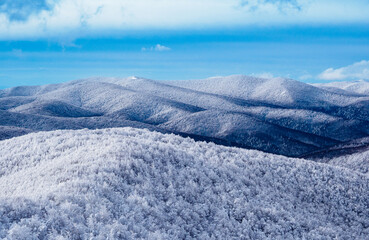 Winter mountain landscape. Snow-covered trees on mountain slopes. View from Mala Rawka to Beskid Monutain Range.  Bieszczady Mountains. Poland.