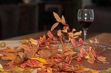 Yellow and red autumn leaves on a wooden floor, red wine in a glass.