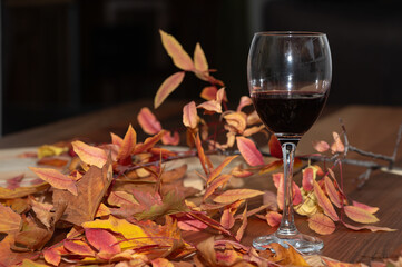 Naklejka na ściany i meble Yellow and red autumn leaves on a wooden floor, red wine in a glass.