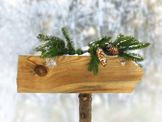 Empty wood pointers, guidepost against winter nature background. Directional arrow signs on pole in...