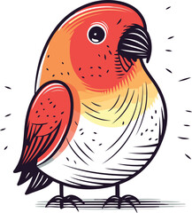 Parrot vector illustration. Hand drawn doodle parrot.