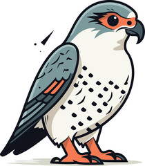 Peregrine falcon. Vector illustration on a white background.