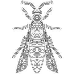  Insect 8, hand drawn, wasp isolated on white background. Colouring page-287.
