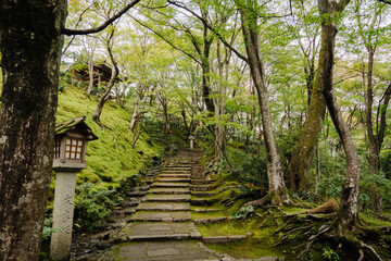 A walking path through lush, green nature at Jōjakkōji Temple in Arashiyama, Kyoto.