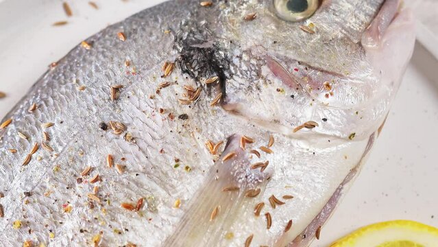 Dorado fish with spices cooking on plate. Top view