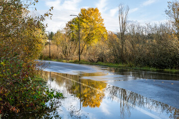 After the storm, rainwater flooding over a residential street on a sunny fall day
