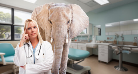 Serious Female Blonde Doctor in a Hospital with an Elephant in the Room.